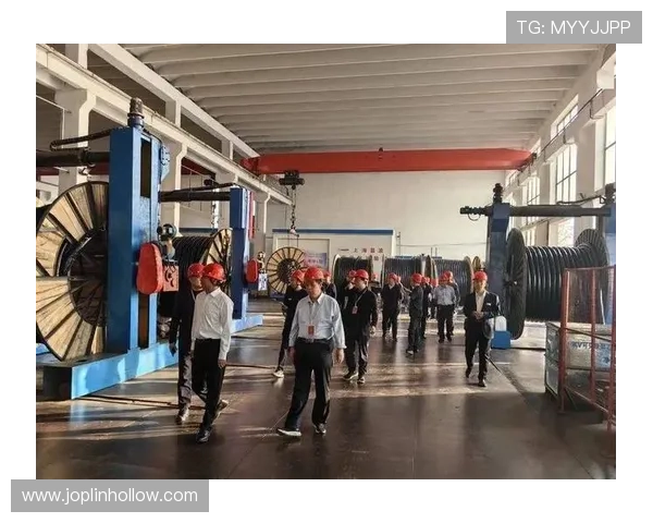 亚星线缆出事事件详细经过及其对消费者权益的影响分析